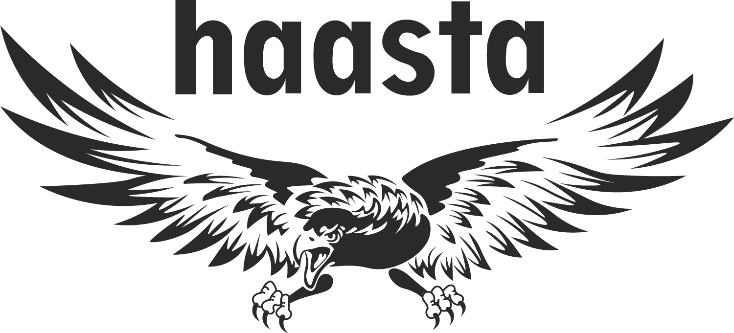 Haasta